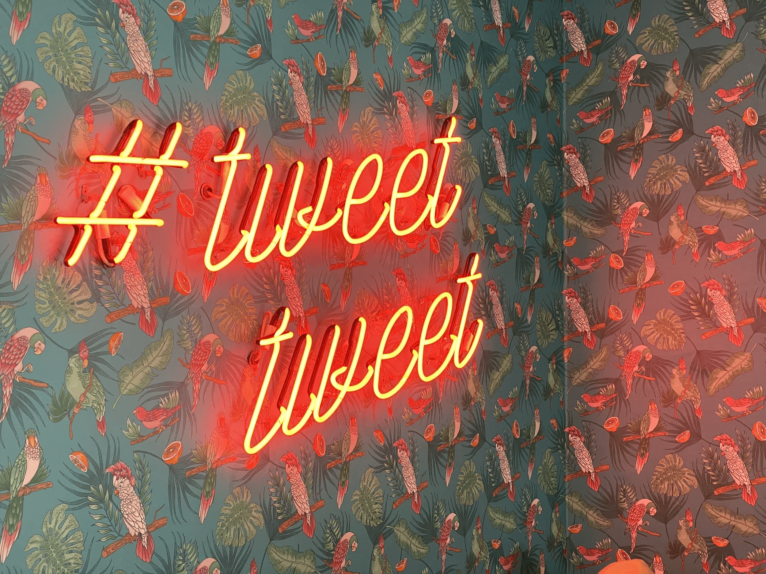We're on Twitter (and only Twitter, for now)